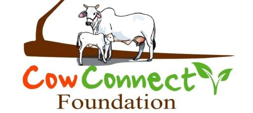 CowConnect Foundation